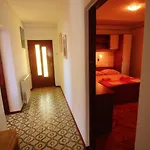Apartmens Adriana *